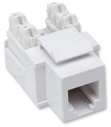 Intellinet 210843 Jack de Impacto, RJ11/12, Blanco